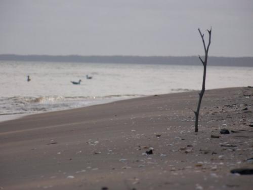 Romantische Strandmomente (100_0879.JPG) wird geladen. Eindrucksvolle Fotos aus Lettland erwarten Sie.